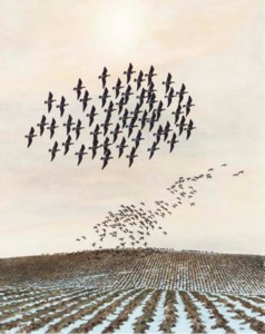 Red Breasted Geese in flight