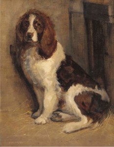 A cocker spaniel