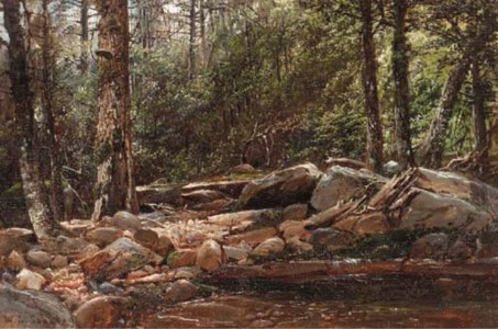 In the Deep Woods
