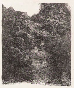 Le gave (VG 153)