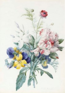 A bouquet with violas, carnations, jasmine and a poppy