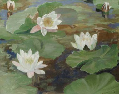 Waterlilies