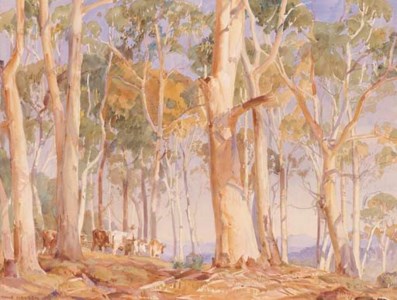 Eccalypts, Drover and Cattle Water