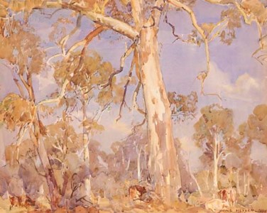 The White Gum Ambleside