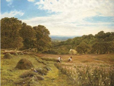 Haymaking