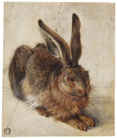 A Hare