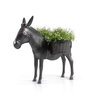 François-Xavier Lalanne, Âne planté