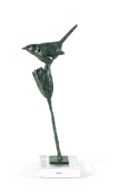Cape Robin