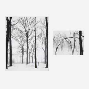 Trees #27 and Trees (diptych) (from the Midwest Landscapes Group)