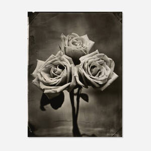 Three Roses