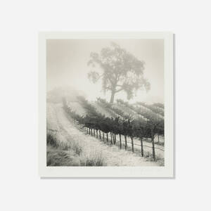 Knight's Valley Vineyard, Napa Valley, California