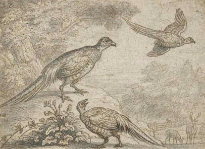 Pheasant in a wooded landscape, with deer beyond