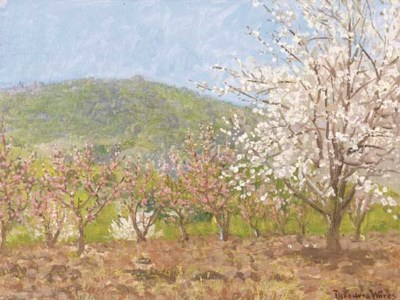 Springtime in Saratoga