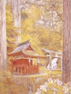 Pagoda in the Woods, Nikko, Japan