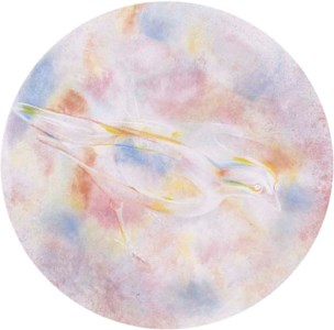 Spirit Bird #34
