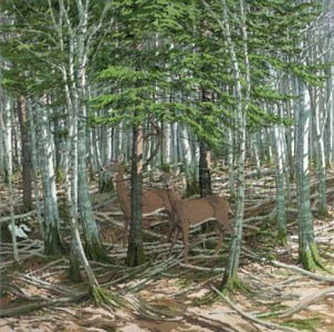 Deer In Bottom