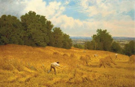Harvesting, Surrey