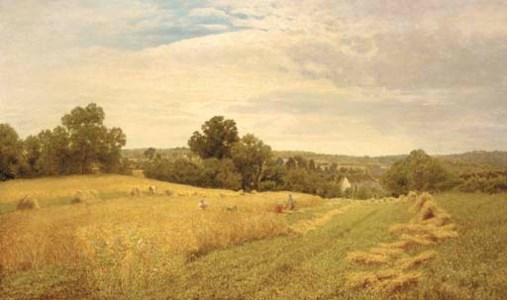 Haymaking