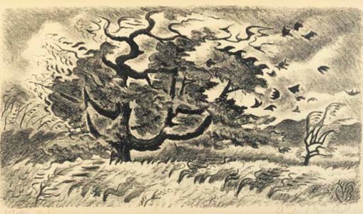 Autumn Wind (C. 15)