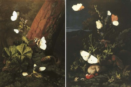 A forest floor still life with butterflies and snails, a landscape beyond; and A forest floor still life with butterflies and lizards