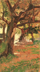 A Shady Path