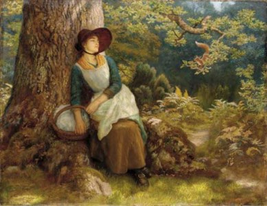 Asleep in the Woods