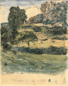 Pastures in Normandy