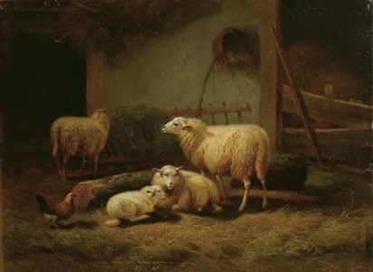Moutons dans une étable