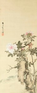 Peonies