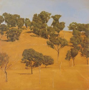 Hillside
