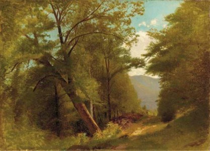 In the Keene Valley