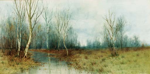 Forest Clearing
