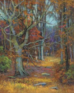 Old Beech
