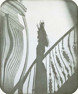 LAUDANUM #15
