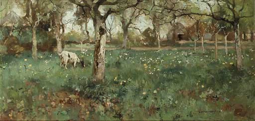 A goat grazing in a spring orchard