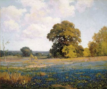Texas Bluebonnets