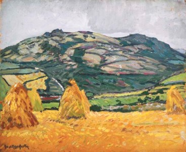 The Field