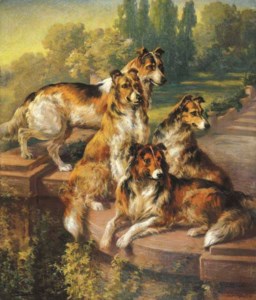 Collie Dogs in Formal Garden