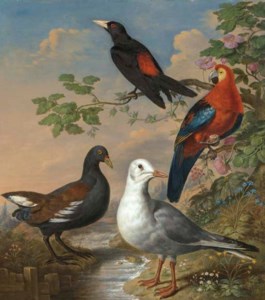 A MOORHEN, A GULL, A SCARLET MACAW AND RED-RUMPED A CACIQUE BY A STREAM IN A LANDSCAPE