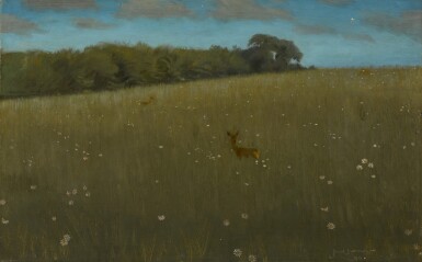 Roe Deer at Dusk