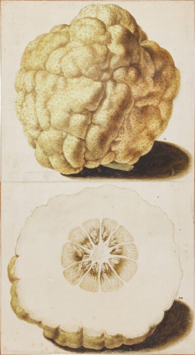 A crowned whole and half Citrus Fruit