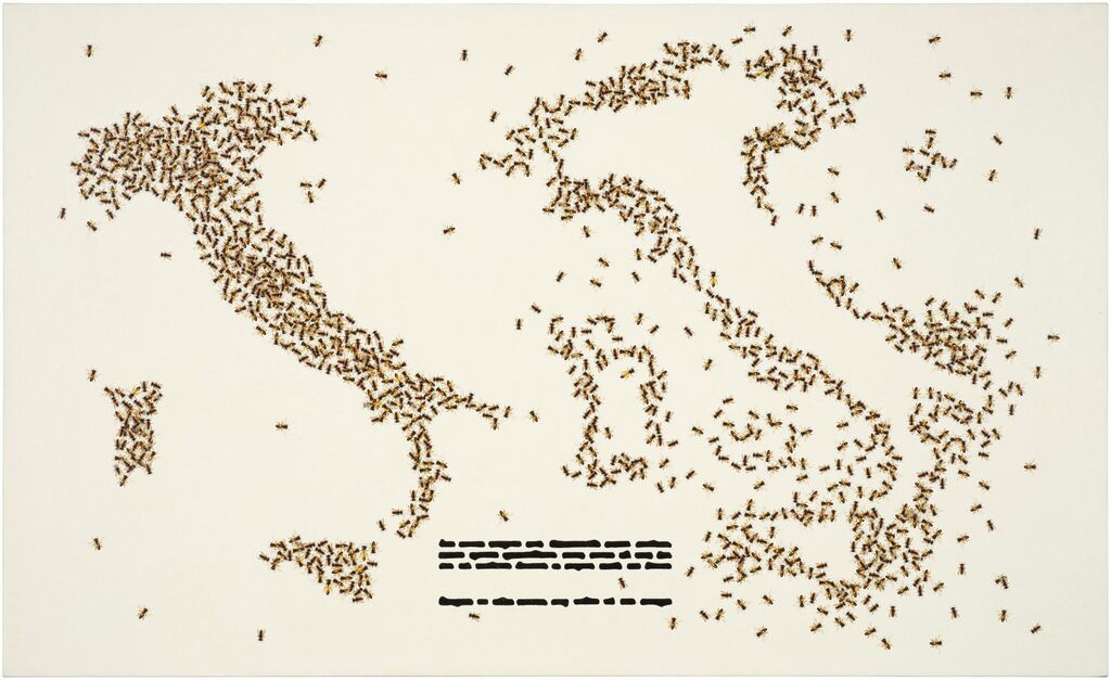Costituzione delle api