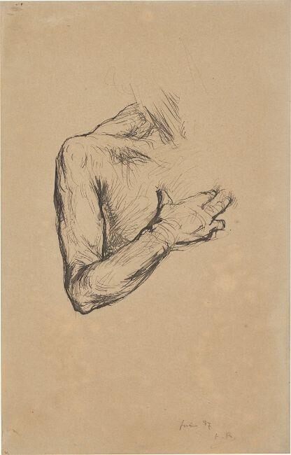 Study of a male torso
