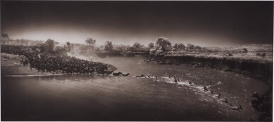 'Zebras Crossing River', 2006