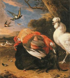 Coupling chickens in a landscape