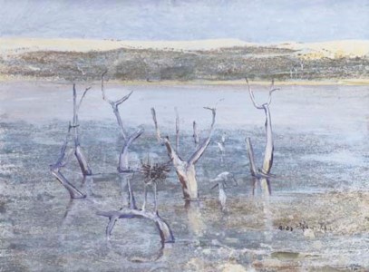 The Coorong