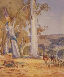 Gum Trees and Bullock Team