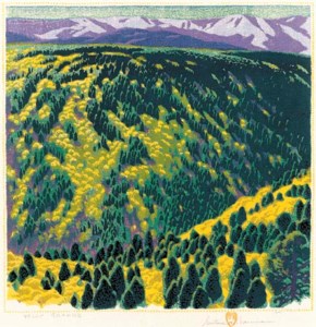 Valle Grande