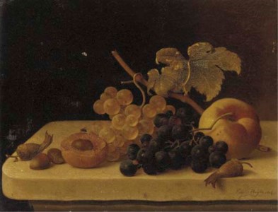 Grapes, Acorns, an Apricot and a Peach on a Ledge with a Fly
