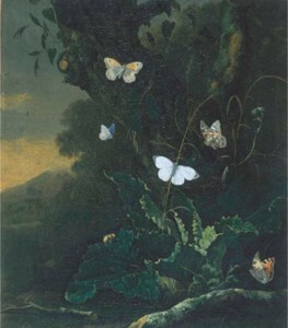 A forest floor still life with a Small Tortoiseshell ( aglais urticae ), a male Large White ( pieris brassicae ), a Painted Lady ( vanessa cardui ), a Meadow Brown ( maniola jurtina ; underside showing) and a member of the Blue ( lycaenidae ) family